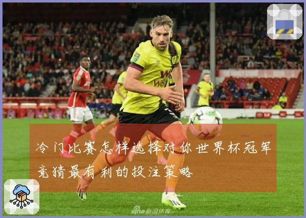 冷门比赛怎样选择对你世界杯冠军竞猜最有利的投注策略