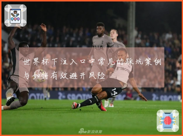世界杯下注入口中常见的踩坑案例与如何有效避开风险