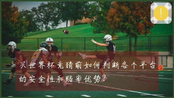 买世界杯竞猜前如何判断各个平台的安全性和赔率优势？
