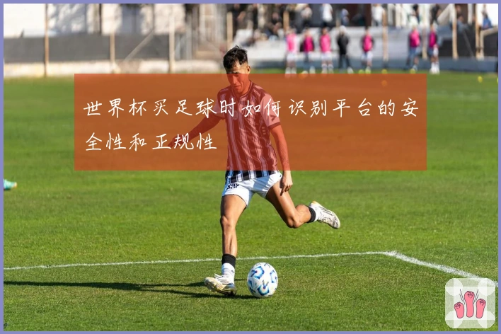 世界杯买足球时如何识别平台的安全性和正规性